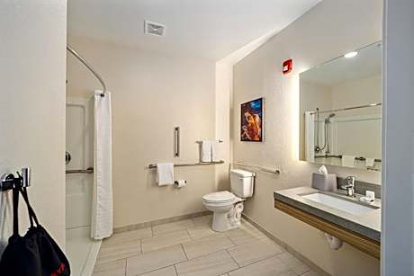 King Studio Suite - Mobility Access Roll in Shower/Non-Smoking