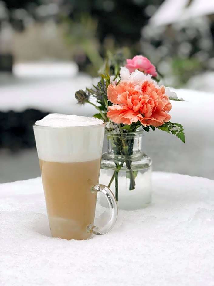 Hotel Rezydencja Solei