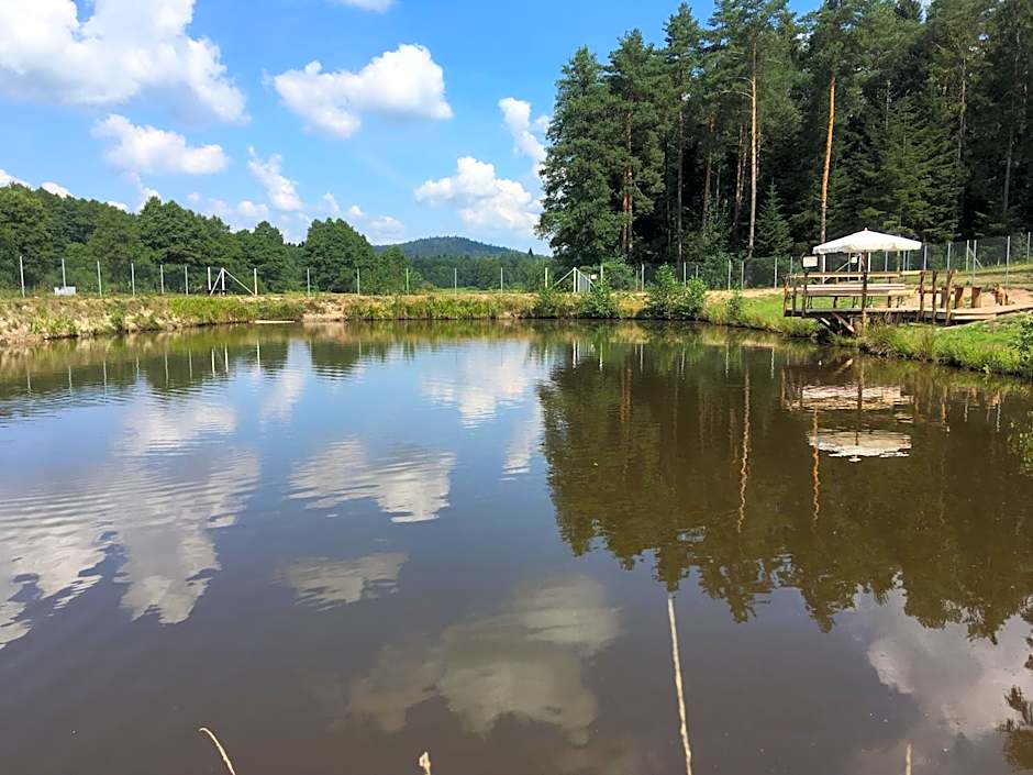 Komfortowy Leśny Dworek