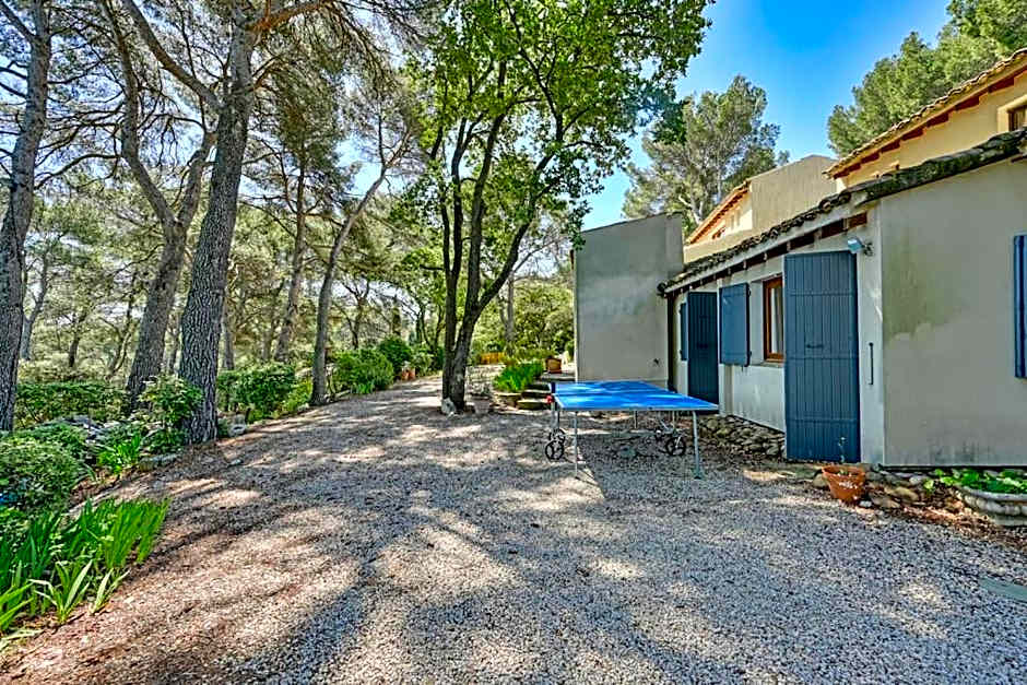 Grande villa avec piscine près d'Avignon - Jonquerettes