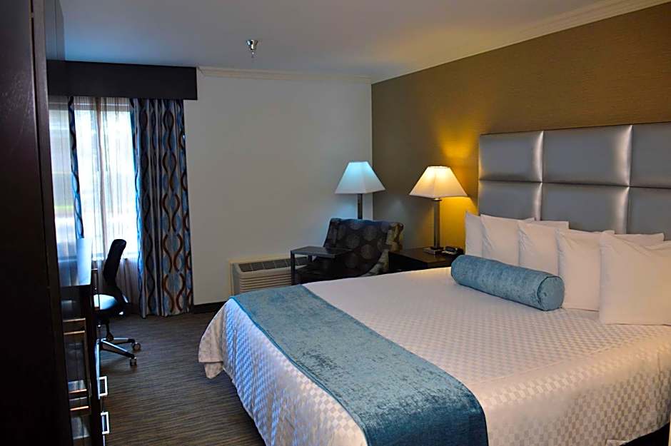 Best Western Webster Hotel, Nasa
