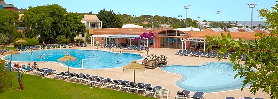 Comitas Isla del Aire