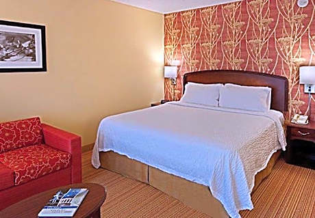 1 Bedroom 2 room Suite, 1 King, Sofa bed