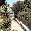 Soros Beach Antiparos