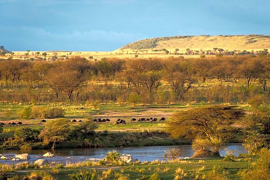 Serengeti Mara River Camp