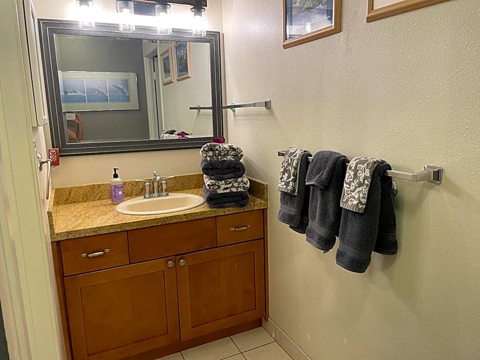 South Maui Ocean View Condo with Free Wifi and Parking