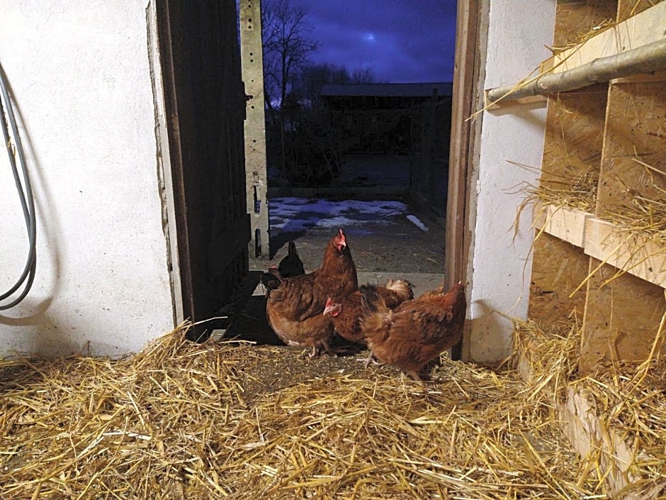 Agroturystyka Cold Sea