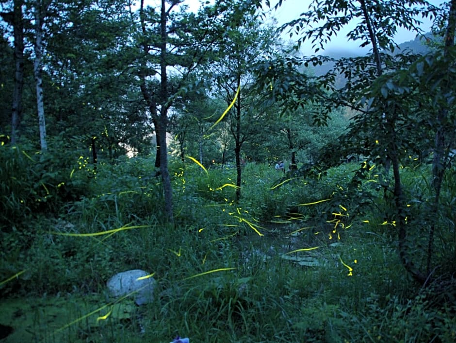 Ryokan Hozanso
