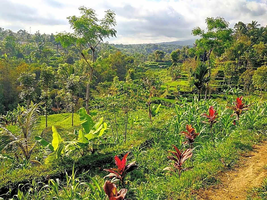 Second Home Bungalows