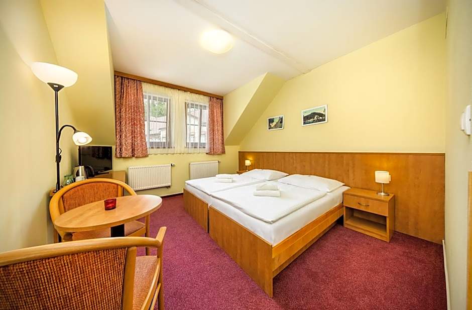 Záviš z Falkenštejna