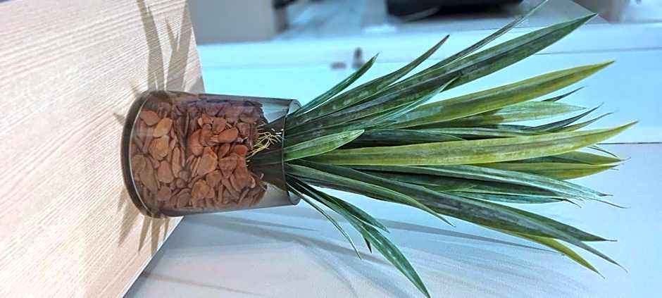 Apto Puerto Ventura - By EasyHost