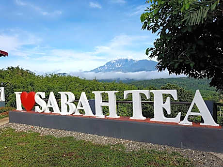 Sabah Tea Garden