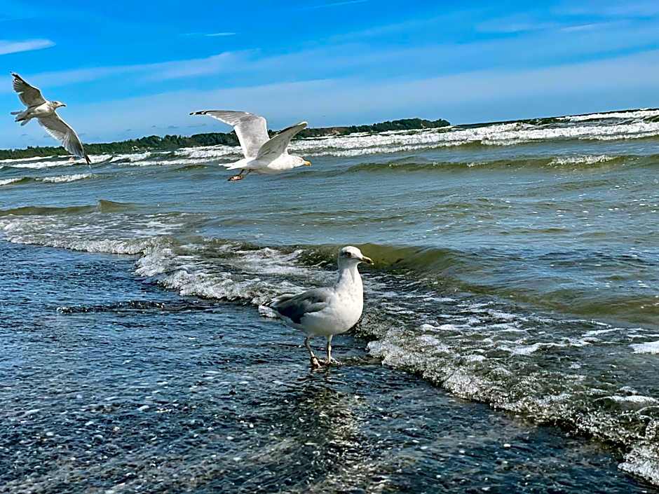 Ferienanlage Süderhof