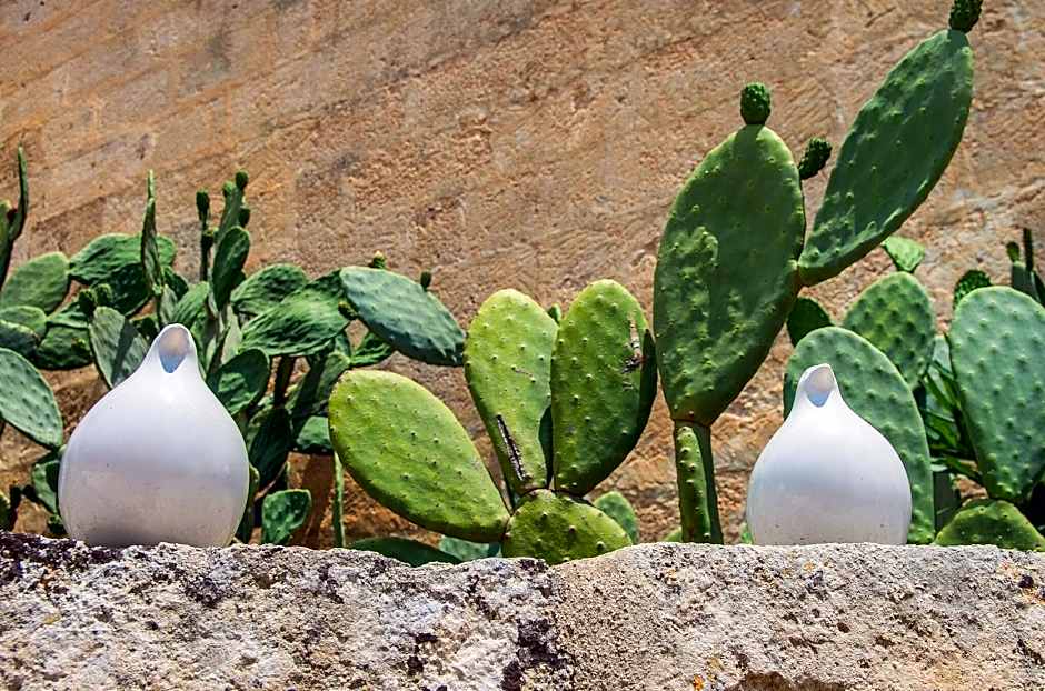 Masseria Santa Lucia