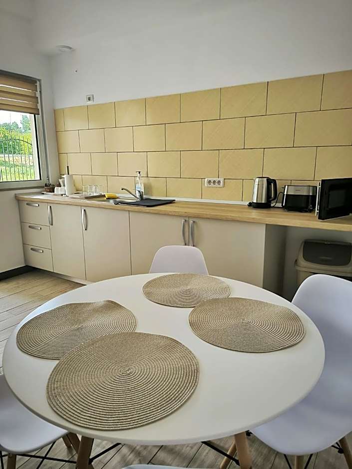 Adriana Touristik Hostel 3 Stele Arad