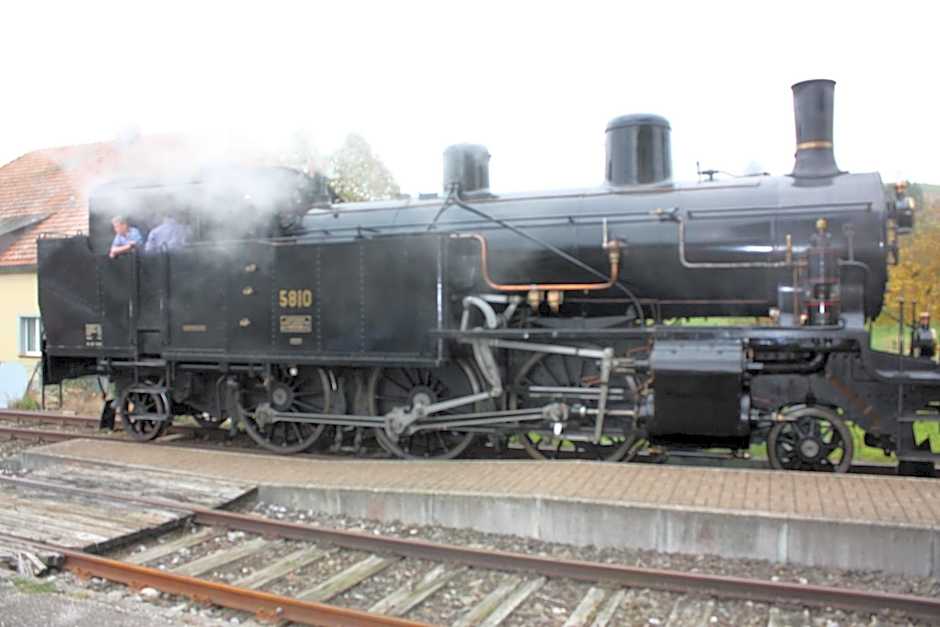 Hotel Koi-Gartenteich