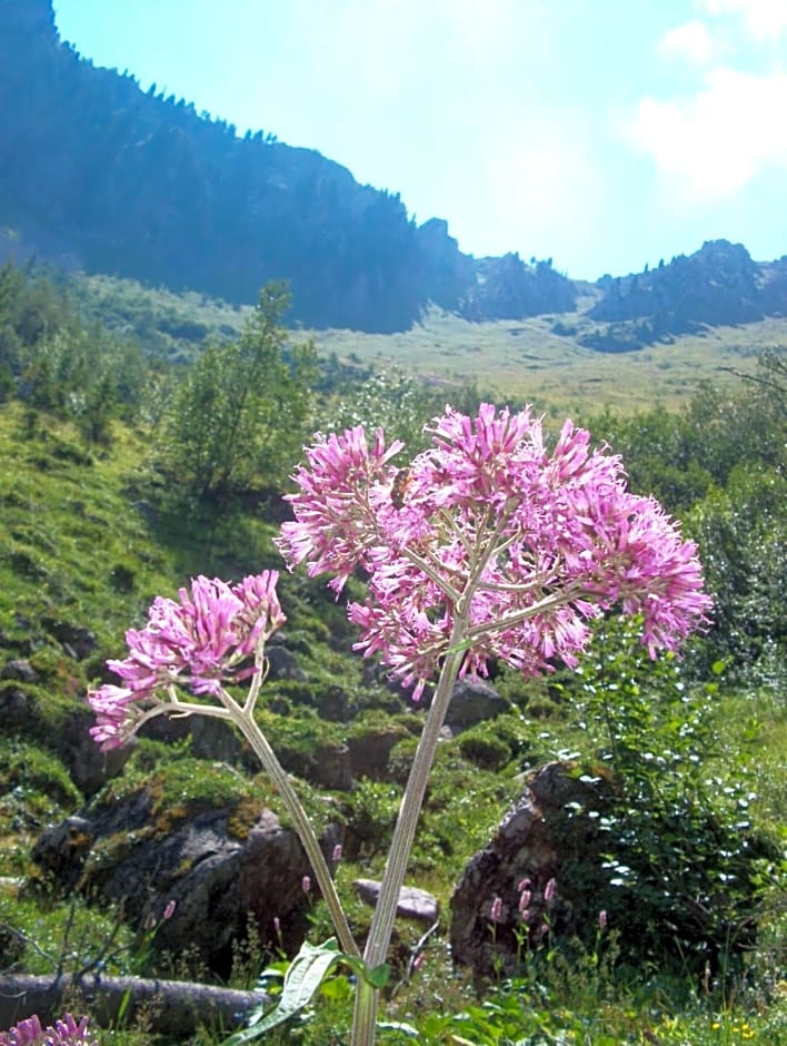 B&B Les Rochers 42 lits