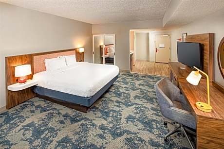 King Room - Hearing Access/Non-Smoking
