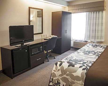 1 King Bed Suite Nonsmoking Accessible