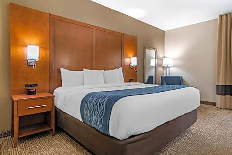 1 King Bed, Nonsmoking, Accessible