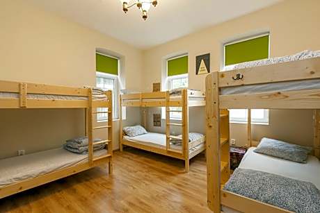 Bed in 6-Bed Mixed Dormitory Room
