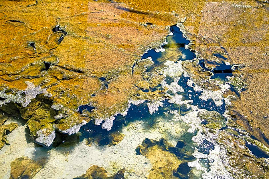 Hotel Terme Principe