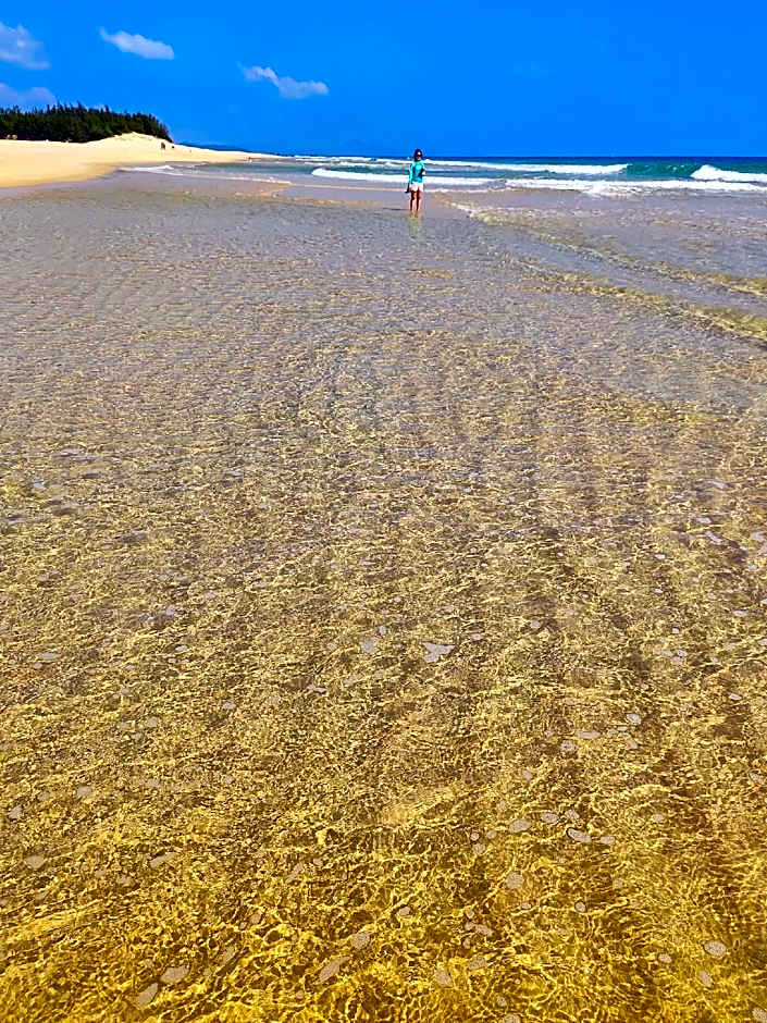 CAT’ village retreat