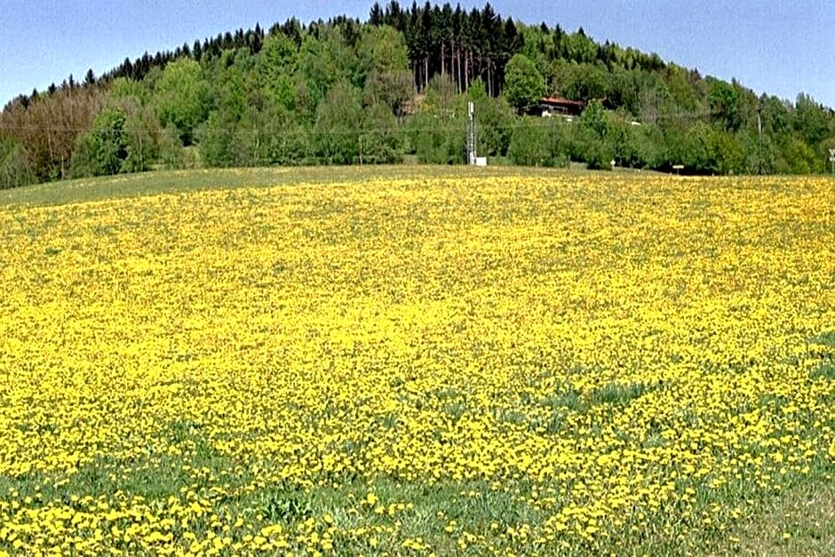 Ferien vom Ich, Bayerischer Wald, Hotel & Restaurant