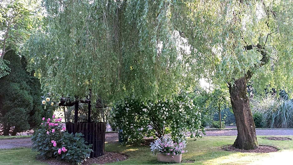 Riverfield Bed and Breakfast