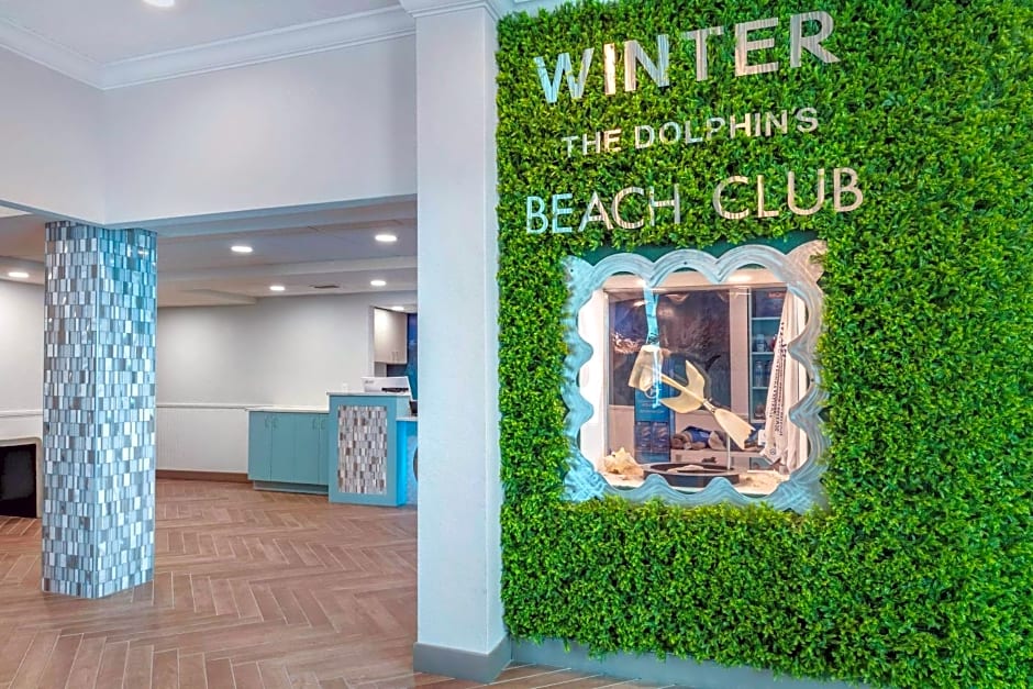 Winter the Dolphins Beach Club, Ascend Hotel Collection