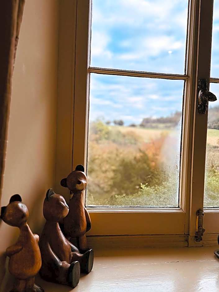 The Falcondale Country House Hotel