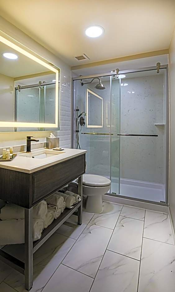 Hotel Indigo BIRMINGHAM FIVE POINTS S - UAB By IHG