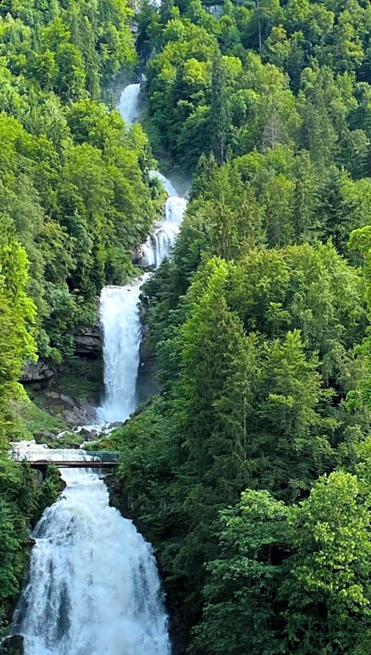 Hotel Wildbach Brienz