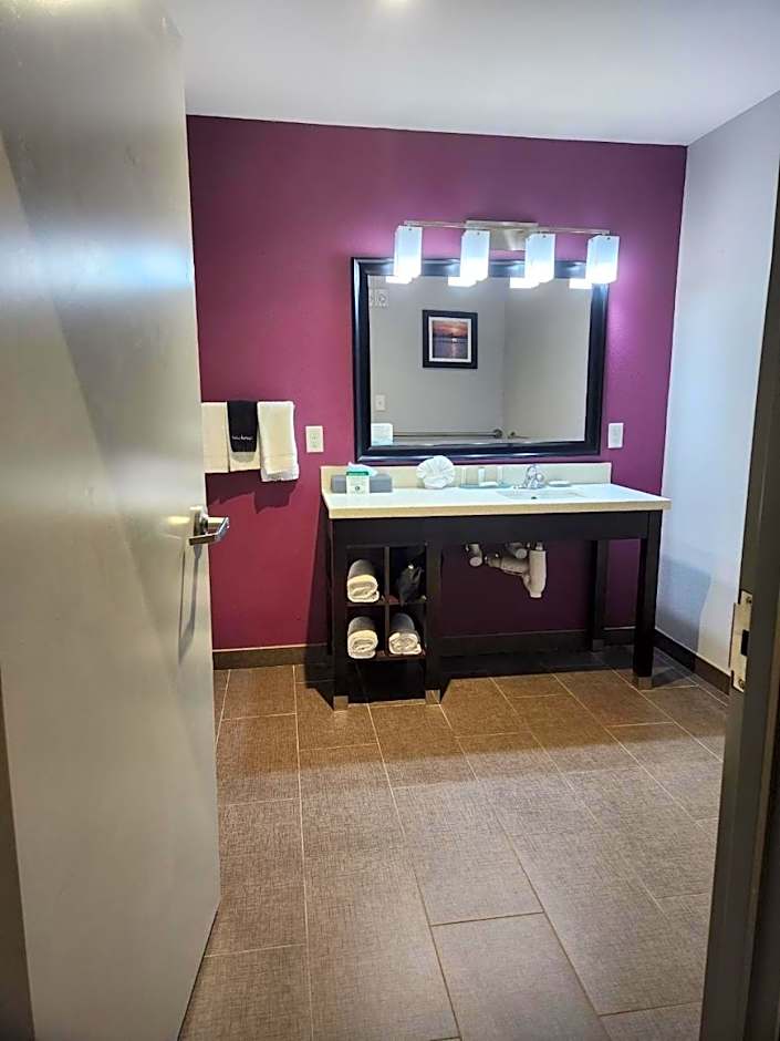 La Quinta Inn & Suites by Wyndham Dallas Grand Prairie North
