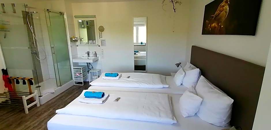 HOTEL SPATZENNEST Vogelsberg