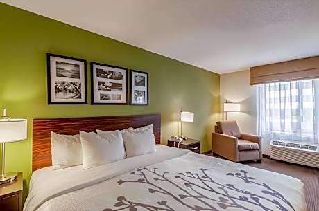 1 King Bed, Nonsmoking, Accessible