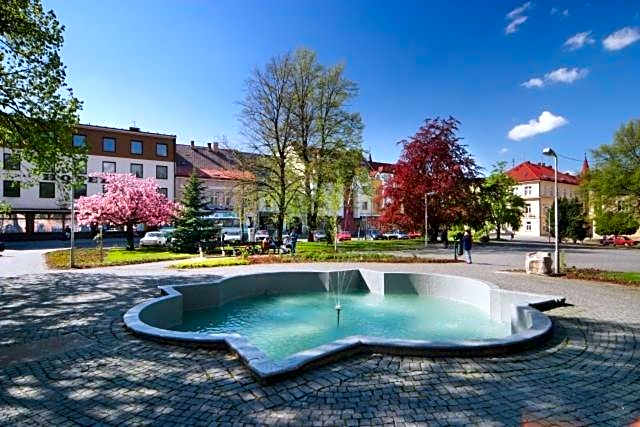 Hotel Vysocina