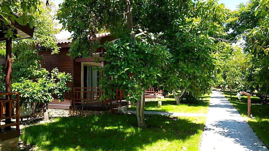 APELLA HOTEL