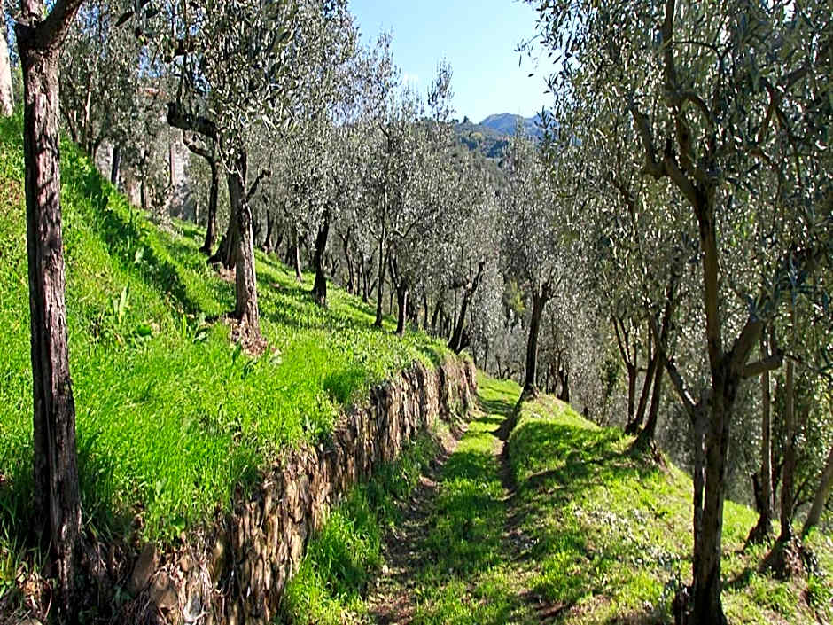 Alluring apartment in Lamporecchio