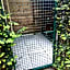 B&B 't zwart peird