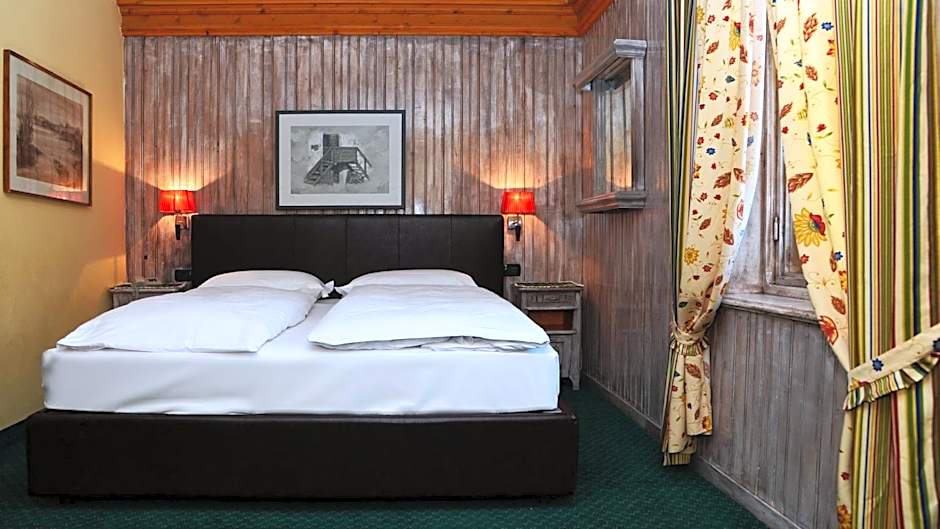 Hotel Alpina