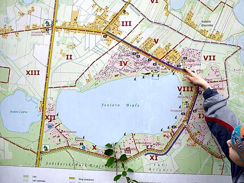 Domki i pokoje ,,Pod Palmami" w centrum