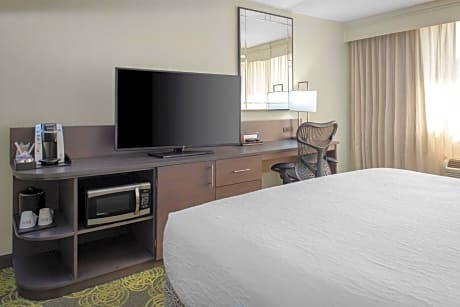 Standard One-Bedroom King Suite