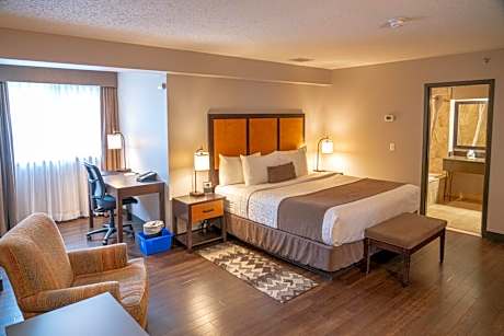 Superior King Suite