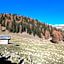 Agritur Maso Ciprianna B&B