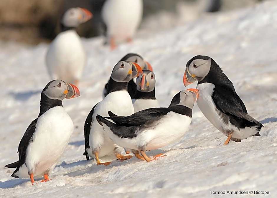 Vardø Hotel by Destination Vardø