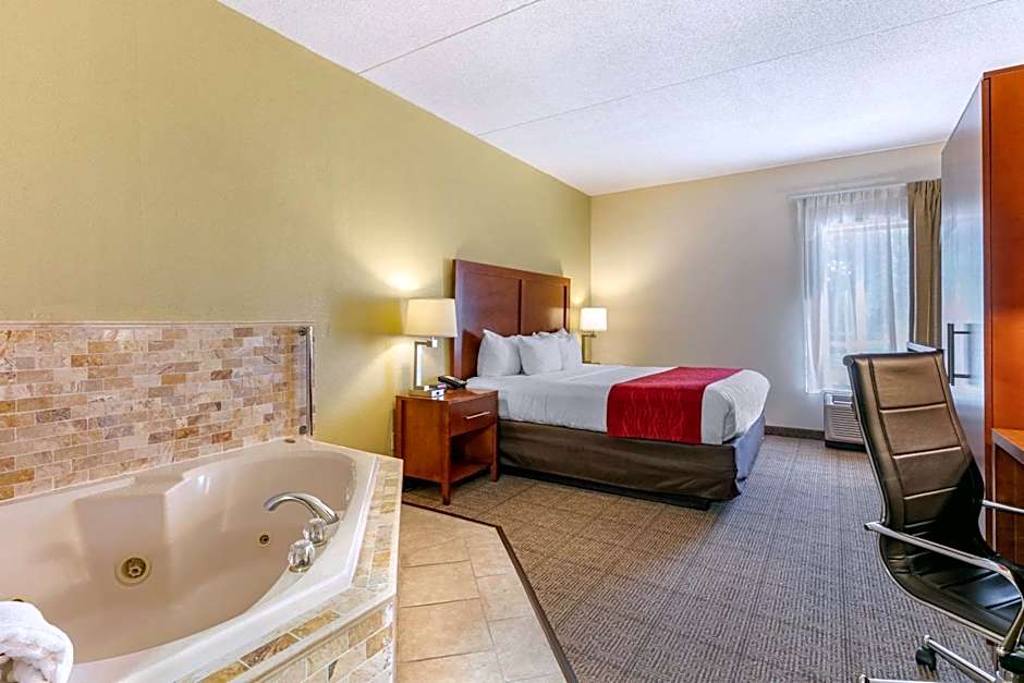 Comfort Inn Downtown Lookout Mountain Chattanooga