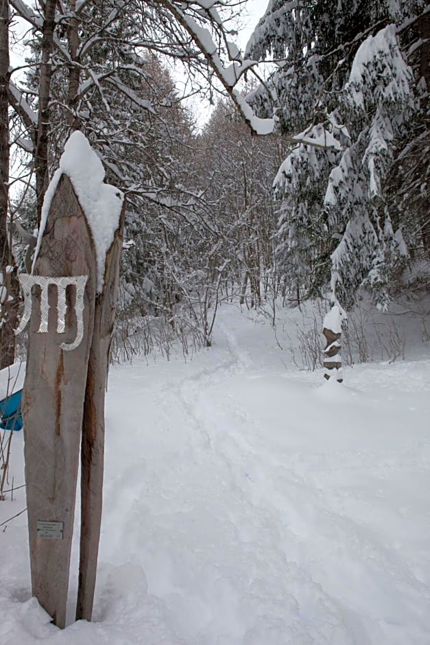 Etoile des Neiges