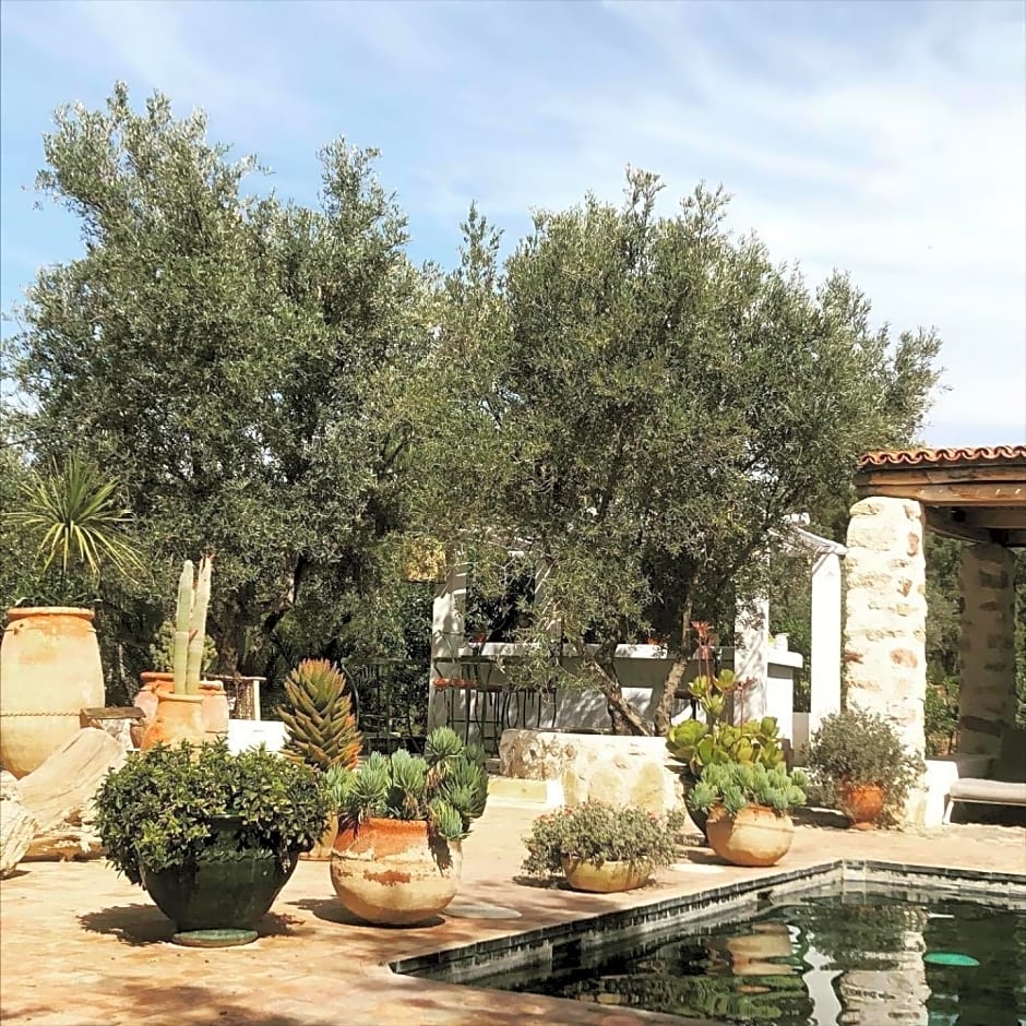 Sel d Ailleurs, Ouirgan - adults only