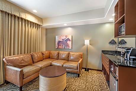 Suite - 1 King Bed, Nonsmoking, Private Balcony, 2 Rooms, Sofa